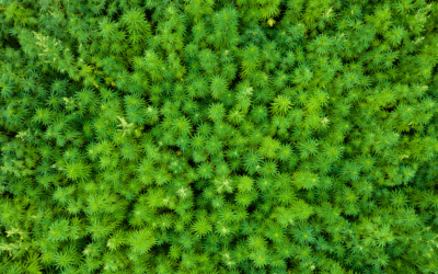 Save Time & Resources with Smarter Growing