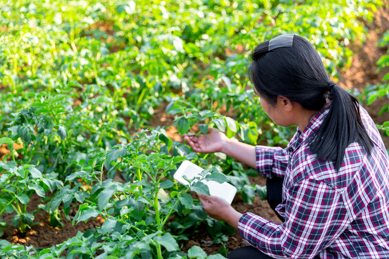 Untitled design (55)