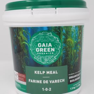 KELP MEAL