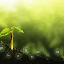 Next Generation Hydroponics