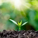 Next Generation Hydroponics